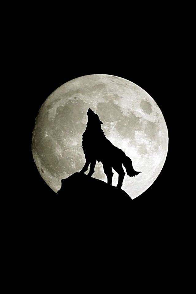 New Moon Wallpaper - HD Wallpaper 