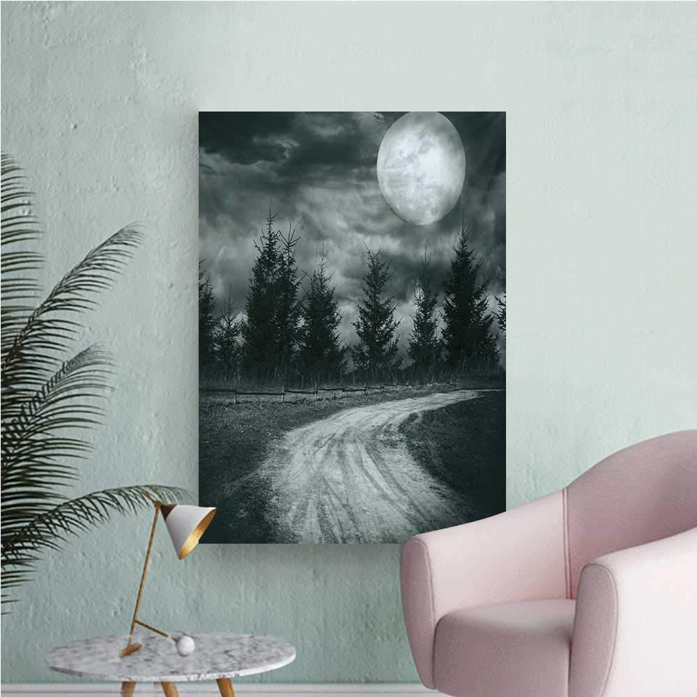 Full Moon - HD Wallpaper 