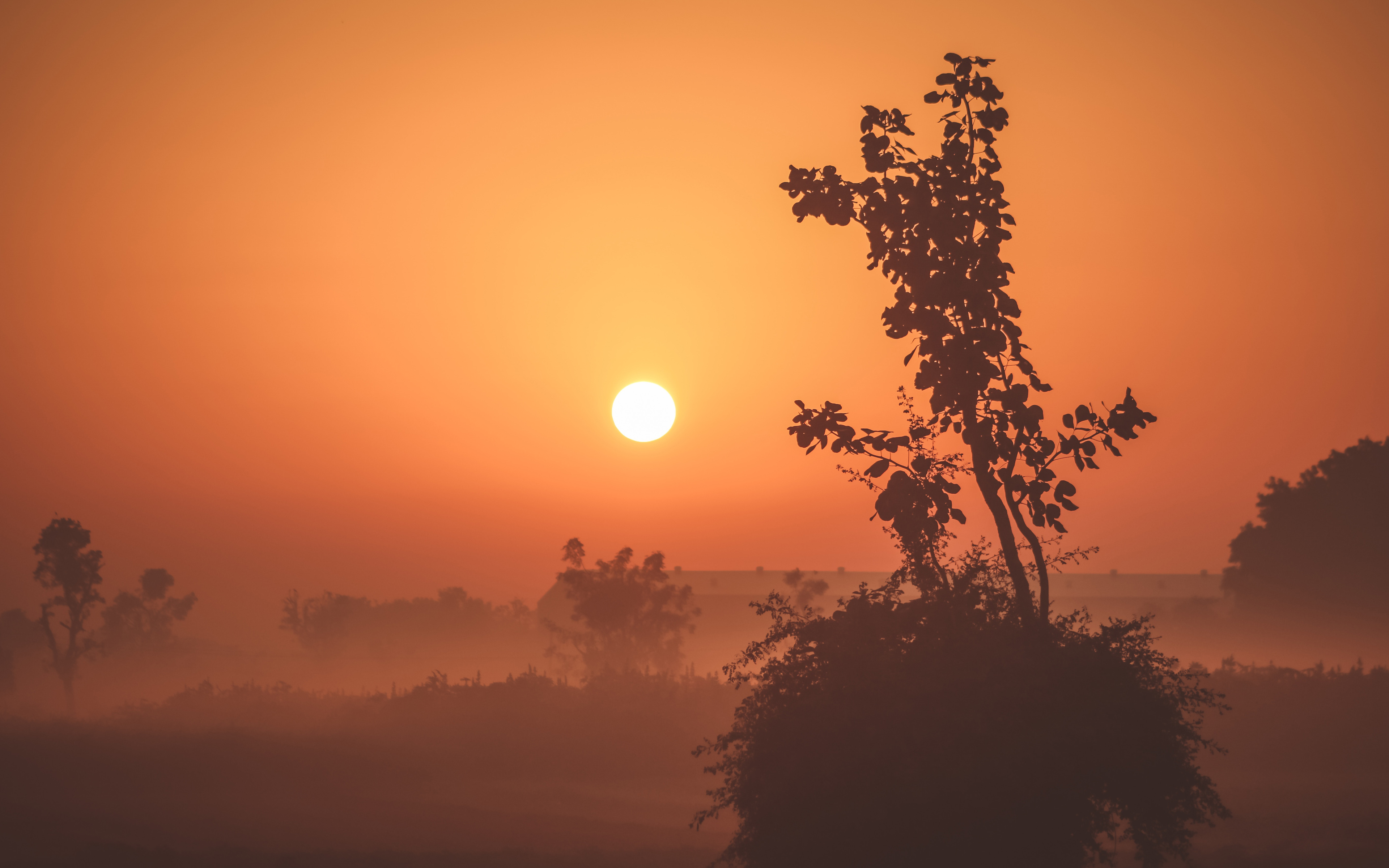 Foggy Sunrise 4k Wallpapers - Good Night Image Gujrati - HD Wallpaper 