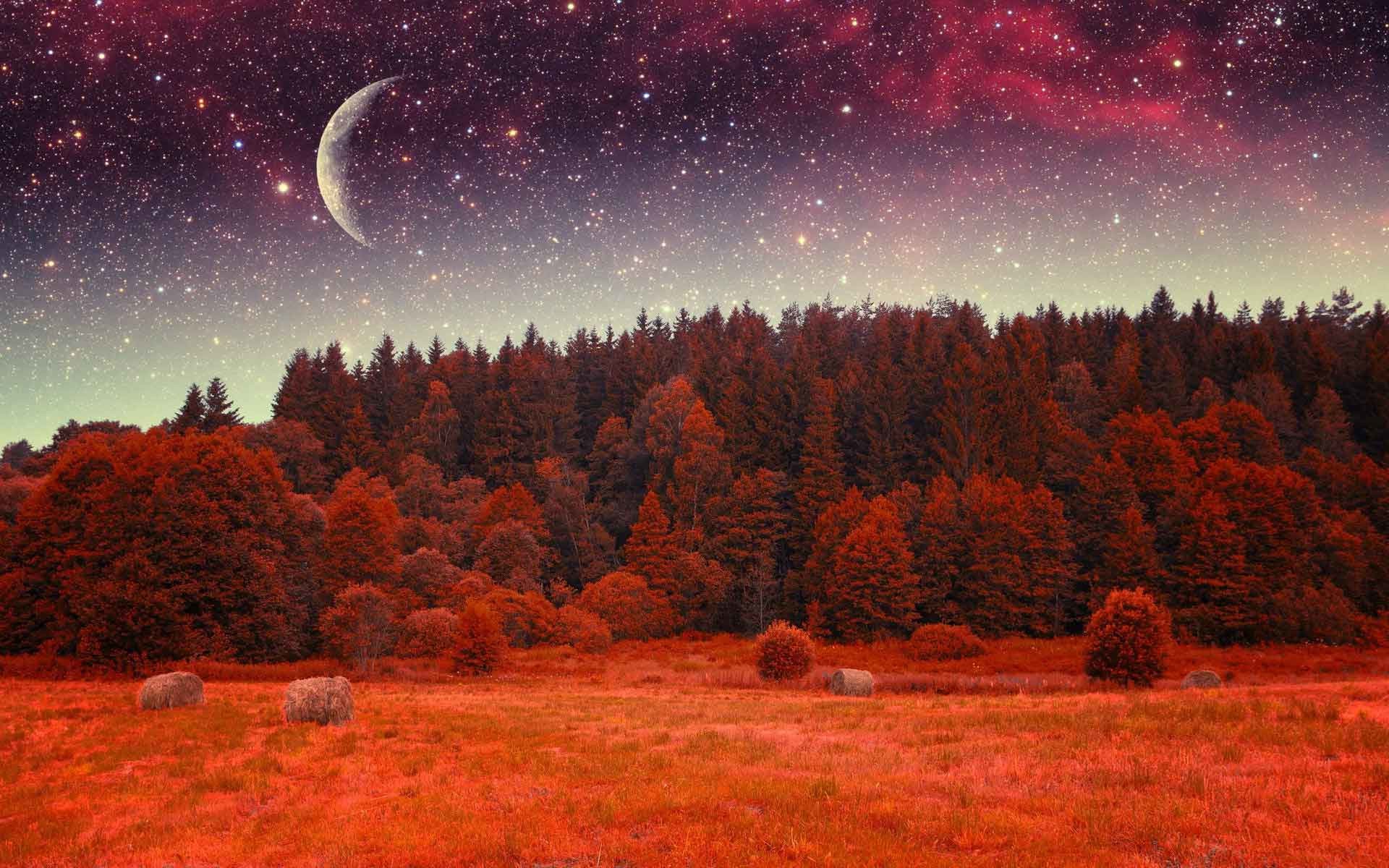 Landscapes Red Moon Forest Sky Earth Stars Nature Wallpaper - Star - HD Wallpaper 