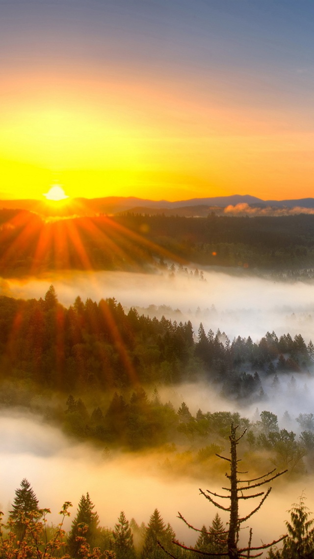 Motivational Success Morning - HD Wallpaper 