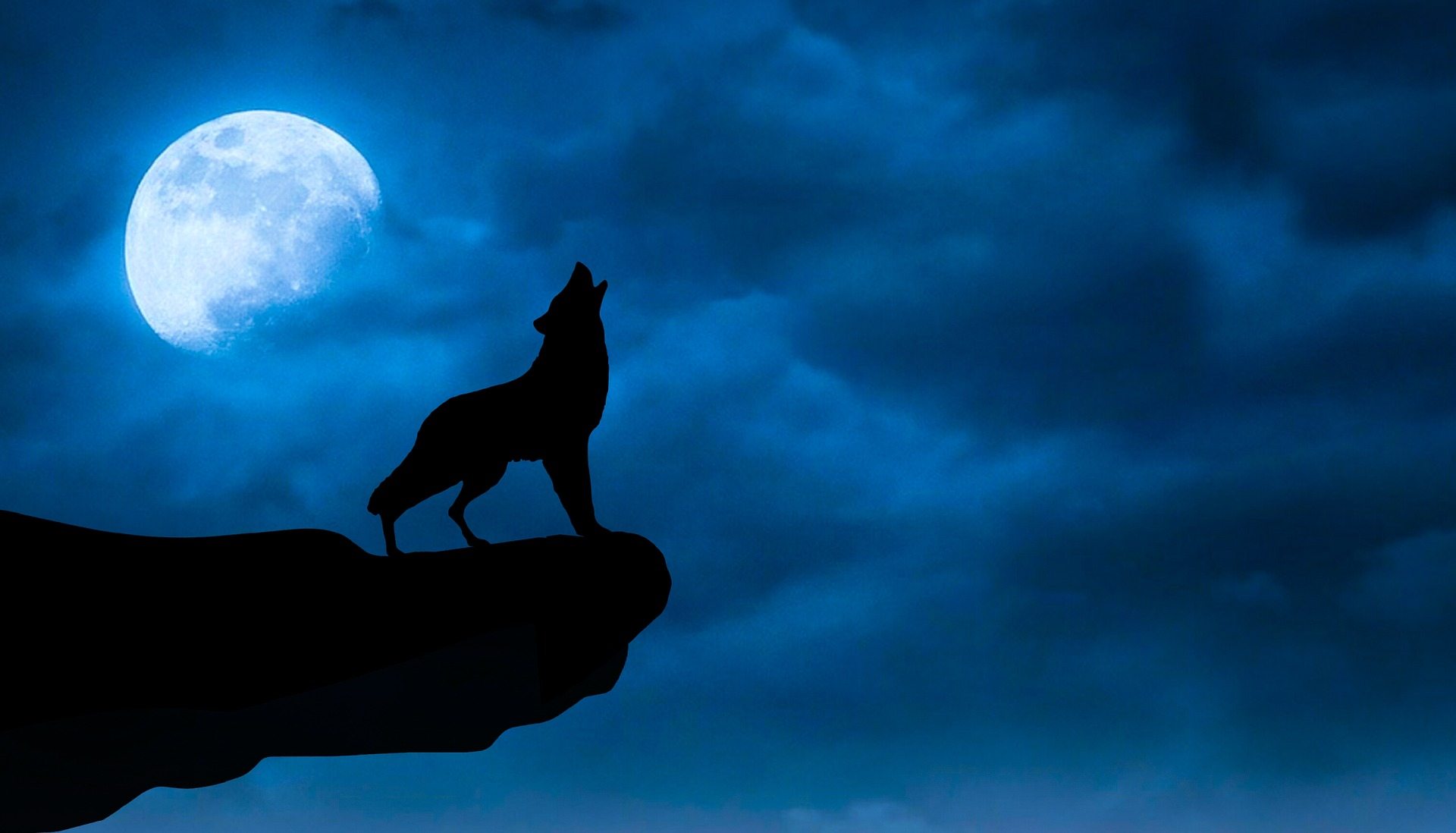 Dark Black Wolf Moon Wallpaper Hd Free Download - Night Sky With Wolf - HD Wallpaper 