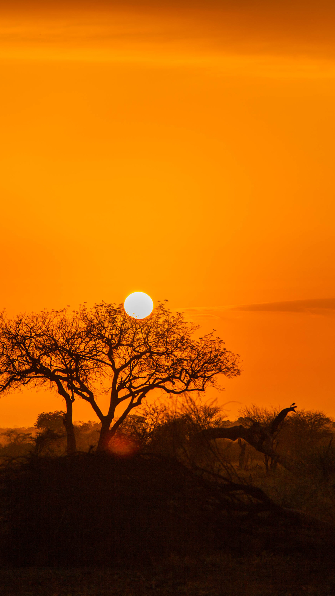 Morning Sunrise Wallpaper - Sunset - HD Wallpaper 