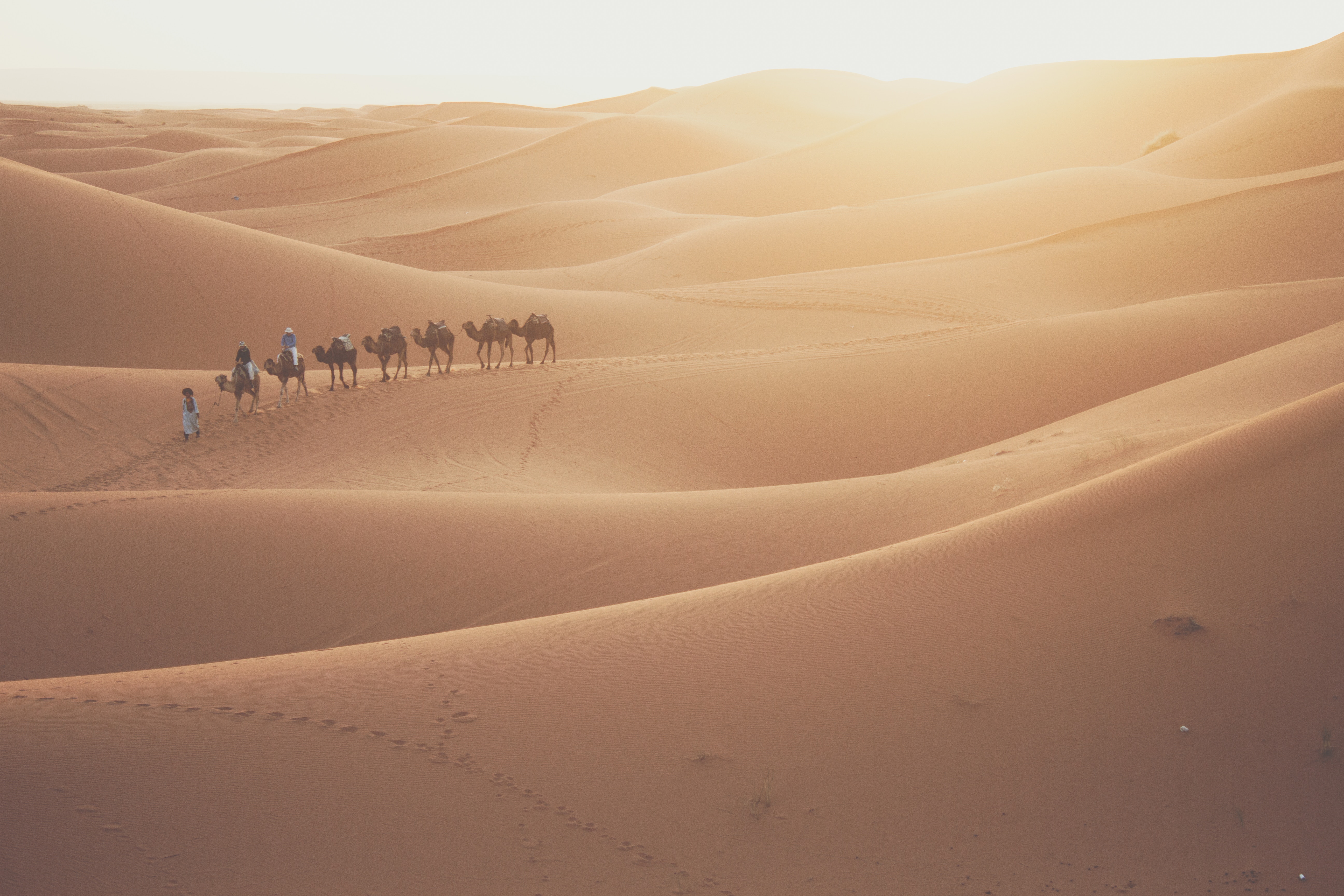 Iraq Desert - HD Wallpaper 