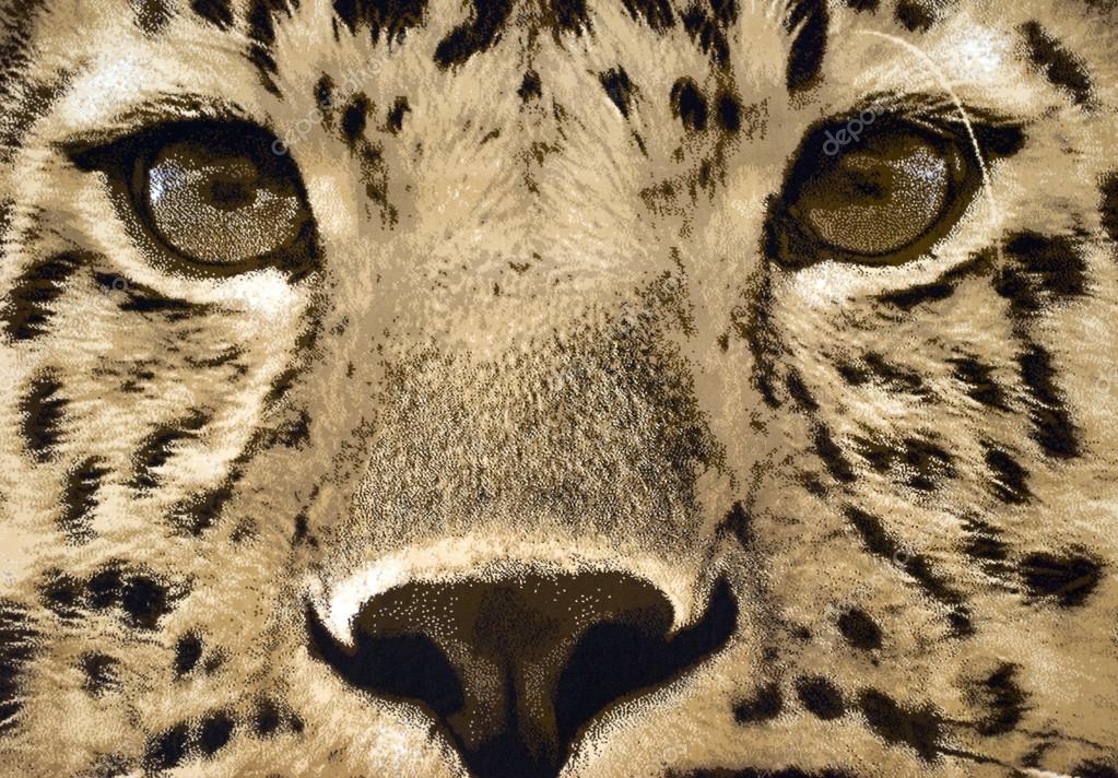 Cara De Chita - HD Wallpaper 