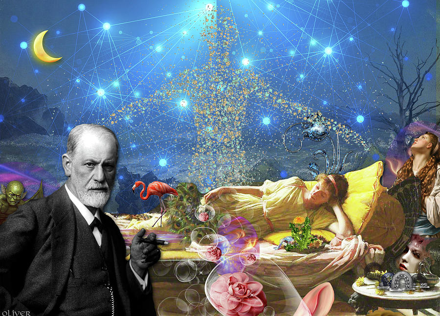 Garden Roses - HD Wallpaper 