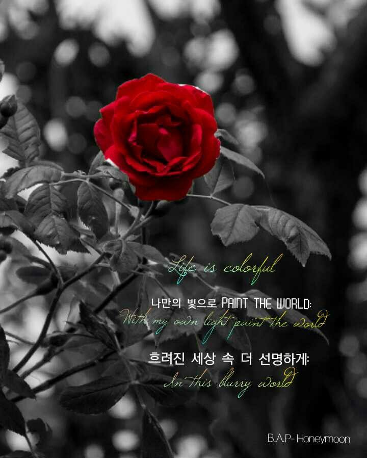 Fotografi Gambar Hitam Putih - HD Wallpaper 