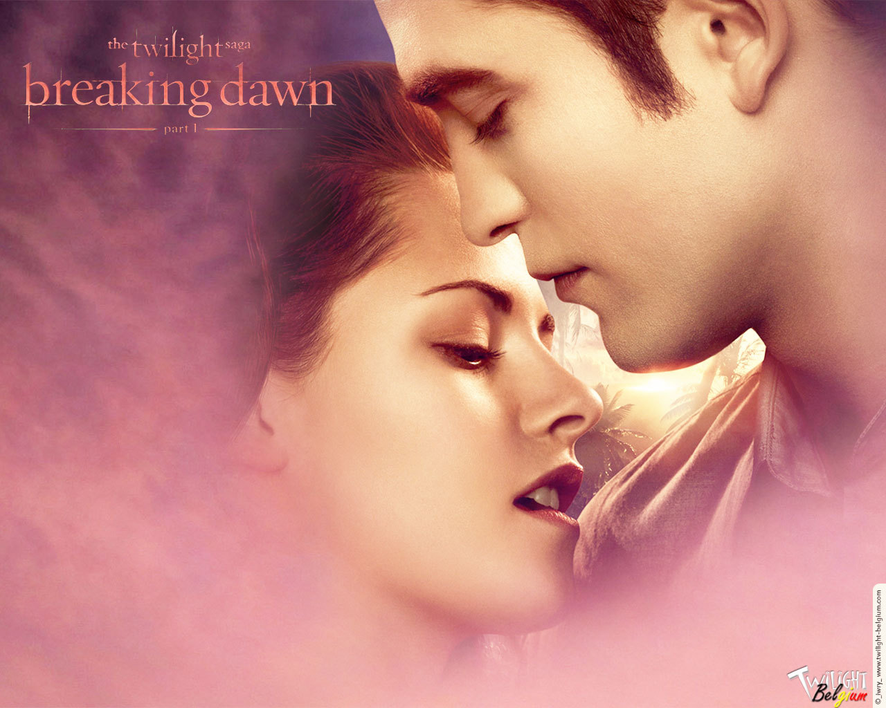 E&b S Honeymoon ♥ - Twilight Saga Breaking Dawn Part 1 Edward - HD Wallpaper 