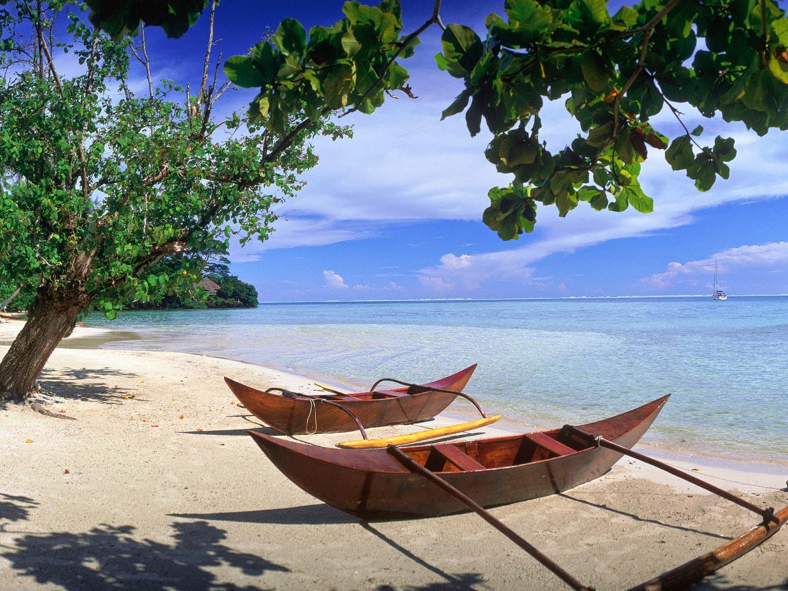 Honeymoon Wallpaper - HD Wallpaper 