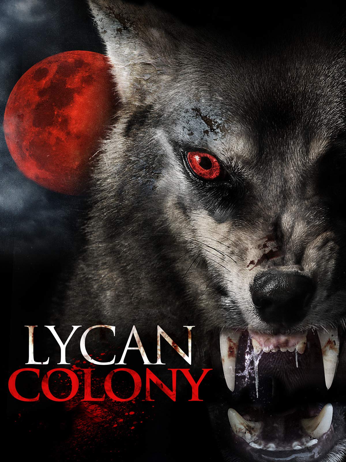 Lycan Colony - HD Wallpaper 