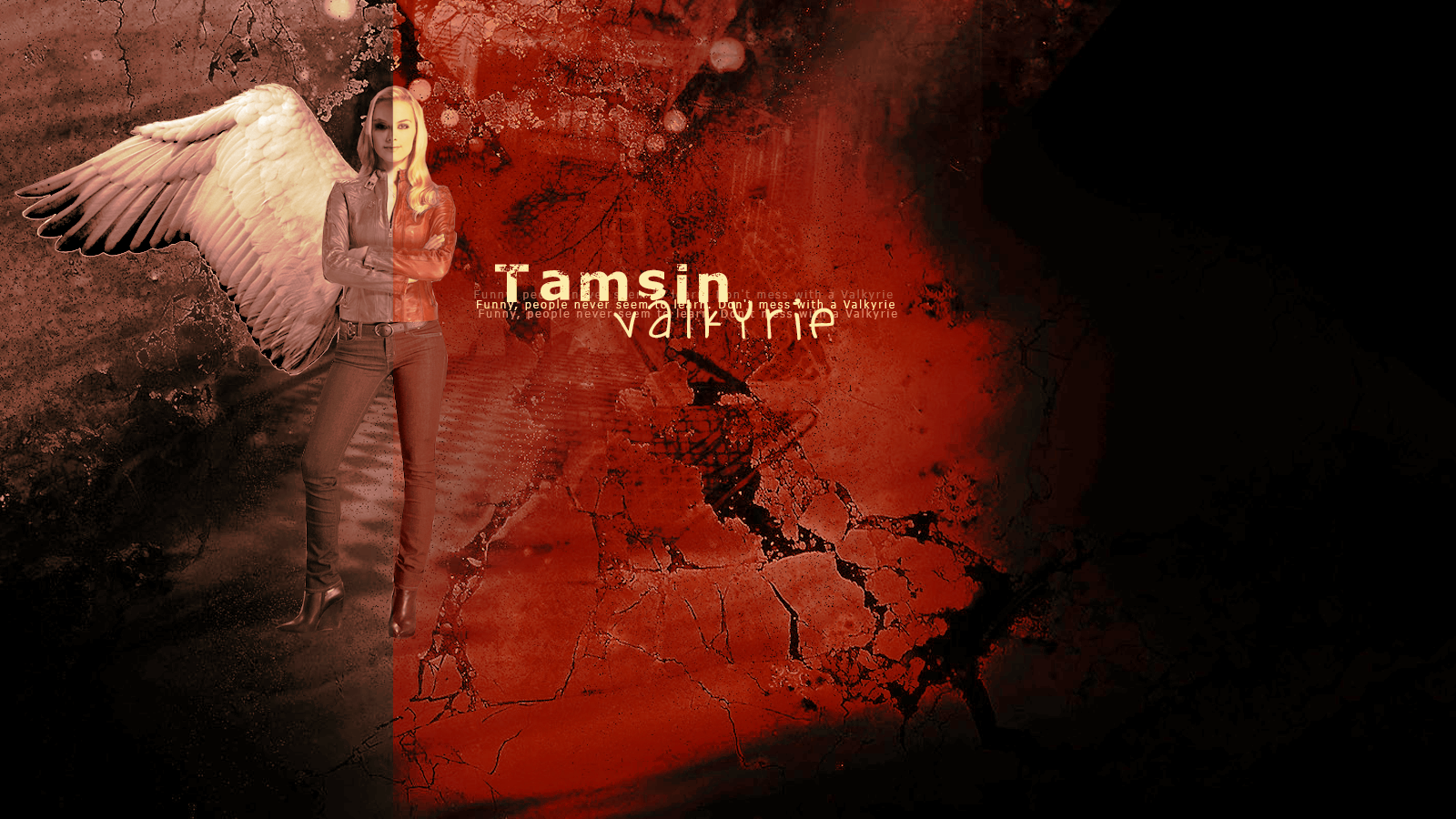 Tamsin The Valkyrie - Valkyrie Tamsin Lost Girl - HD Wallpaper 