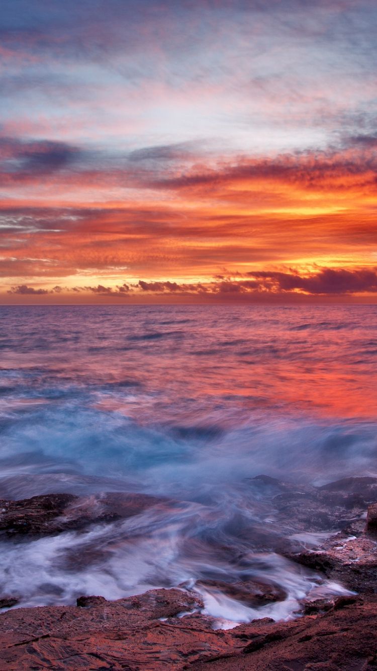 Lion Iphone Wallpaper - Iphone 5 Rapper Background - HD Wallpaper 