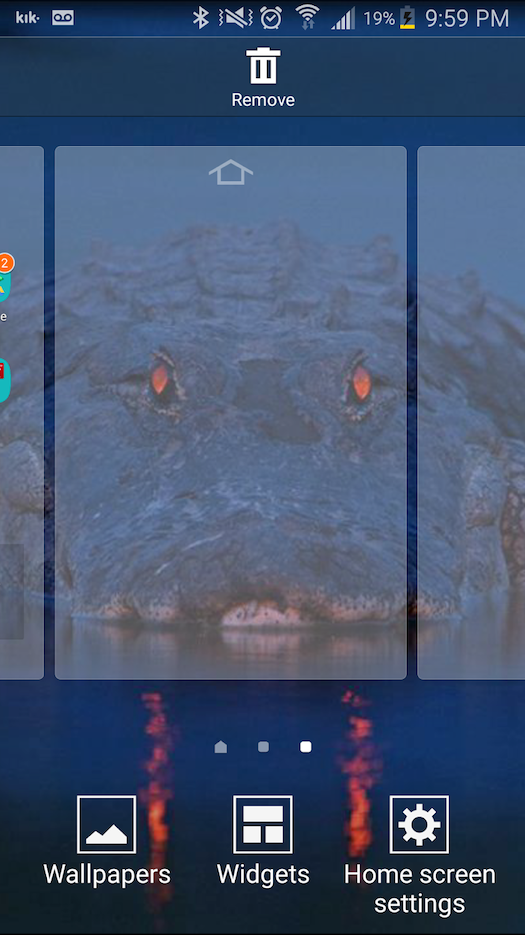 Alligator Glowing Eye - HD Wallpaper 