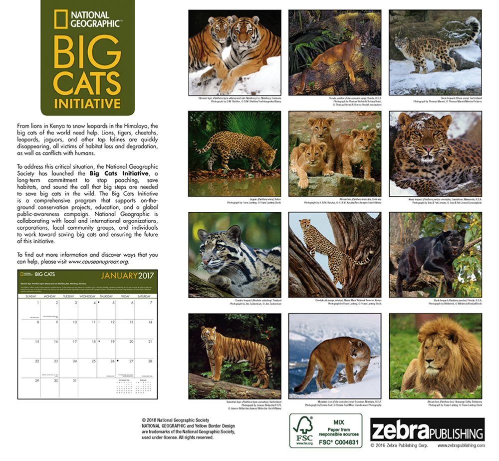 National Geographic Animal Calendar - HD Wallpaper 