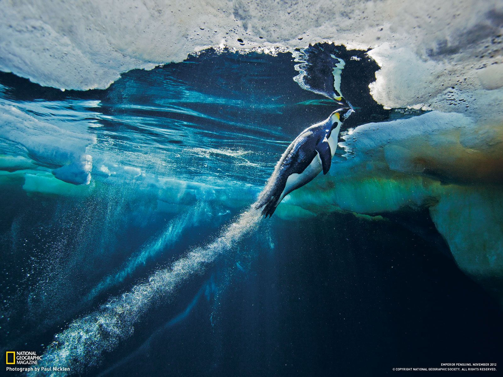 National Geographic, Widescreen Wallpapers For Free - National Geographic Sea Ice - HD Wallpaper 