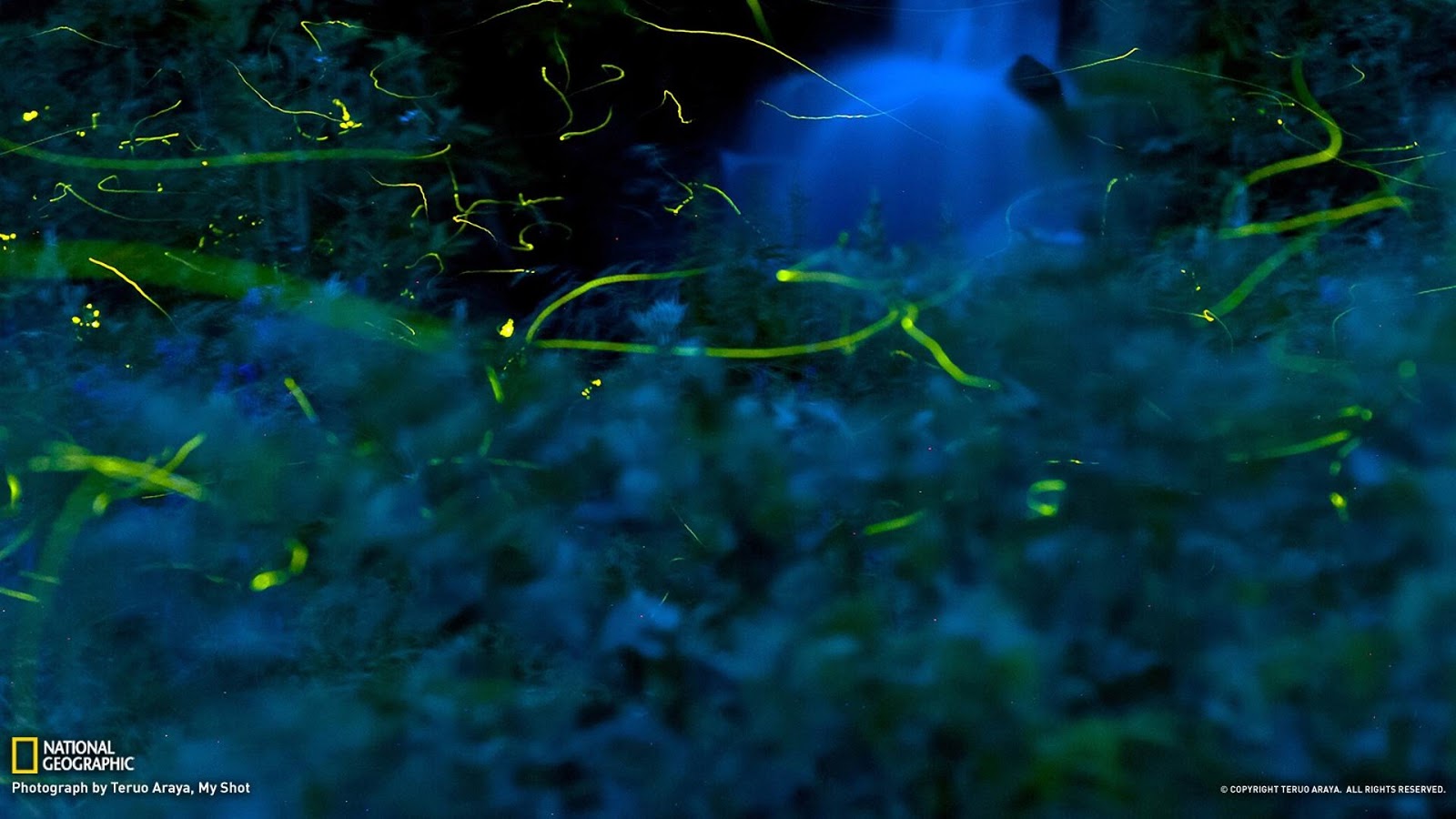 National Geographics Wallpaper 2018 - HD Wallpaper 