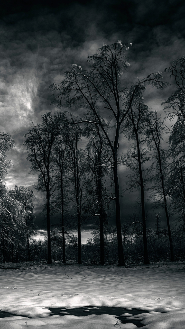 Night Winter Wallpaper Phone - HD Wallpaper 