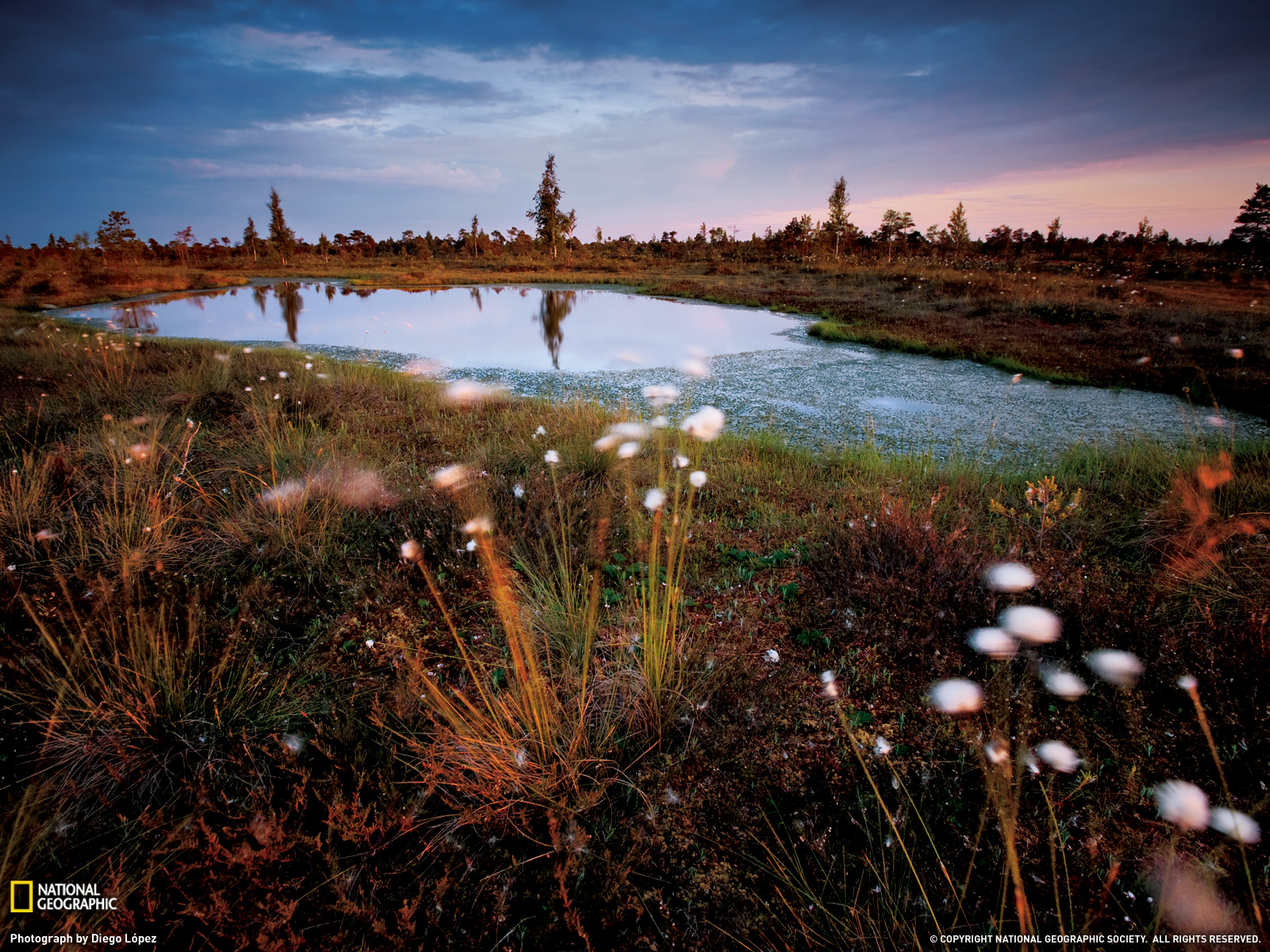 National Geographic Hd Wallpapers - Kemeri National Park Latvia - HD Wallpaper 
