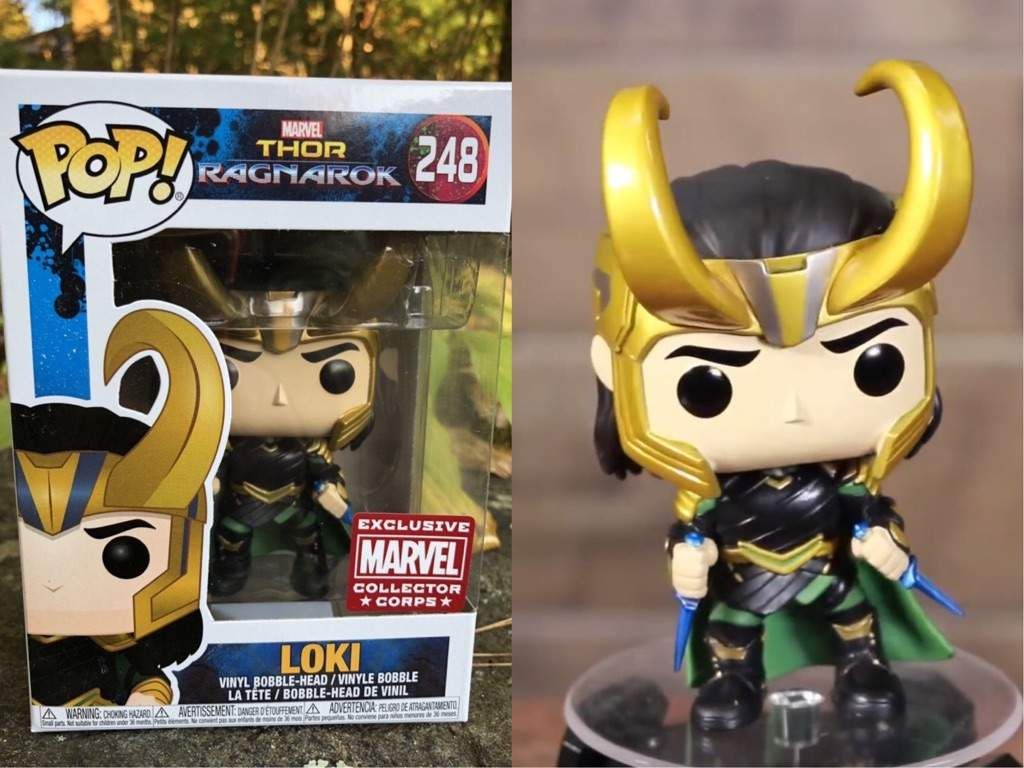 loki pop 248