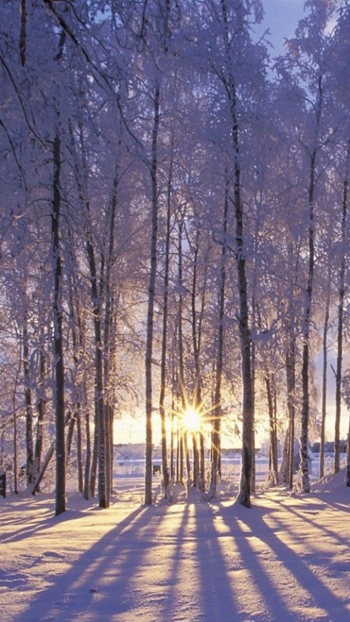 Winter Wonderland Iphone Background - HD Wallpaper 
