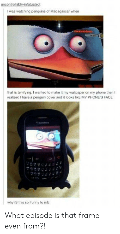 Funny, Phone, And Penguin - Reddit Doki Doki Literature Club Dank Memes - HD Wallpaper 