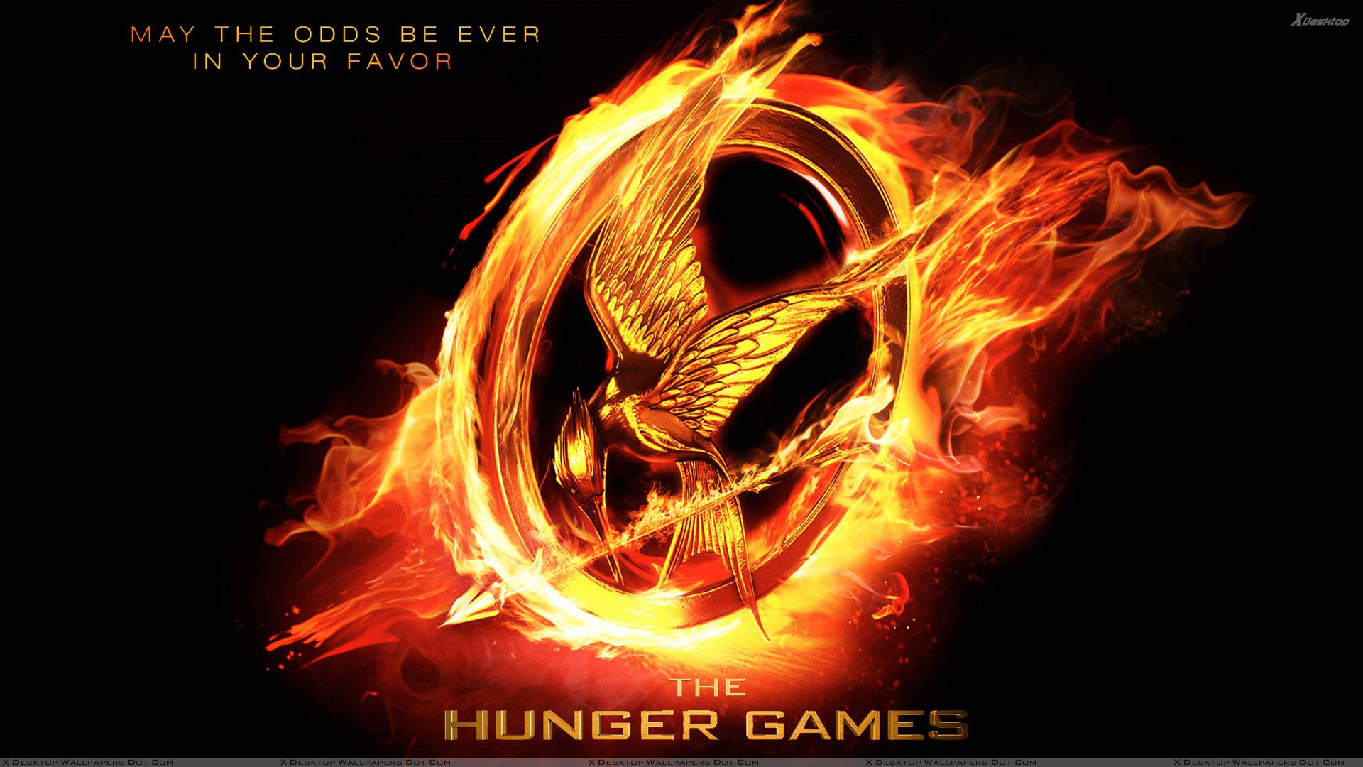 Hunger Games Mockingjay Pin Fire - HD Wallpaper 