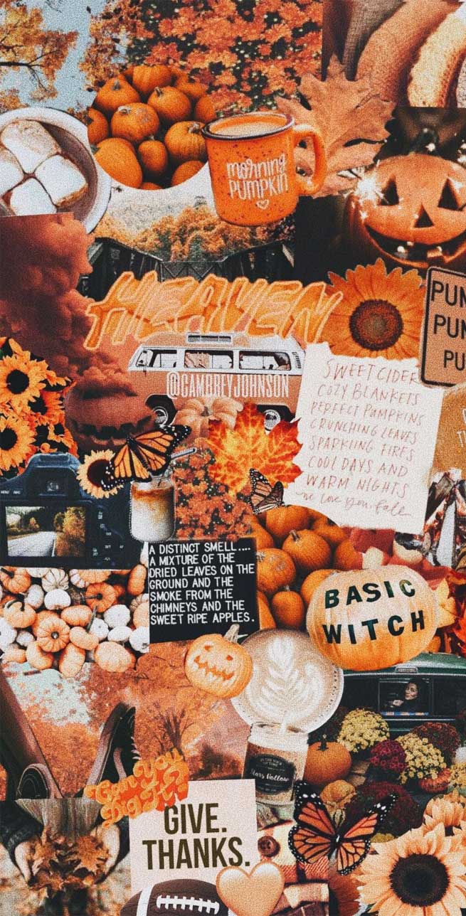 Fall Background - HD Wallpaper 