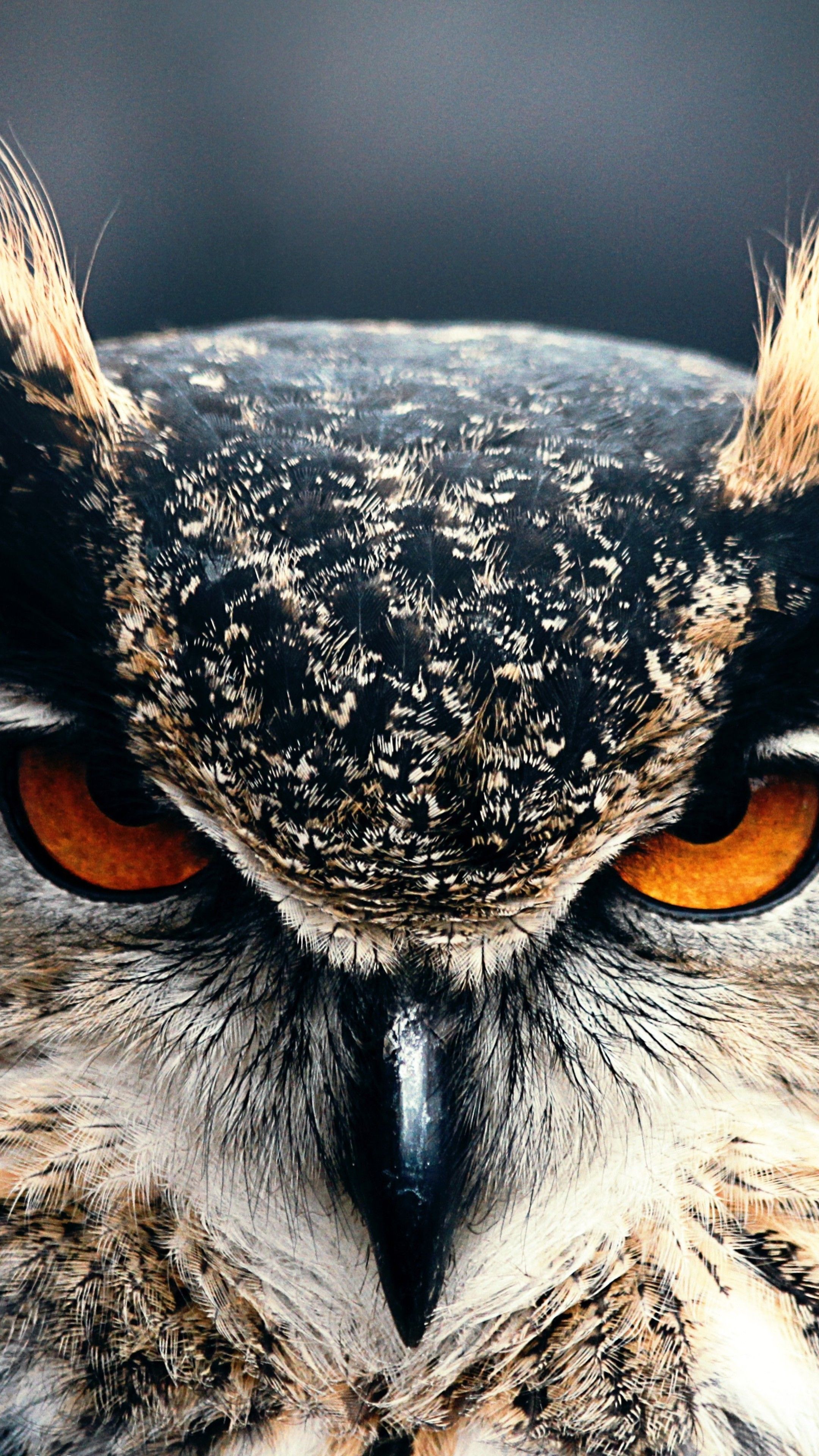 Imagenes Hd 4k Verticales - HD Wallpaper 