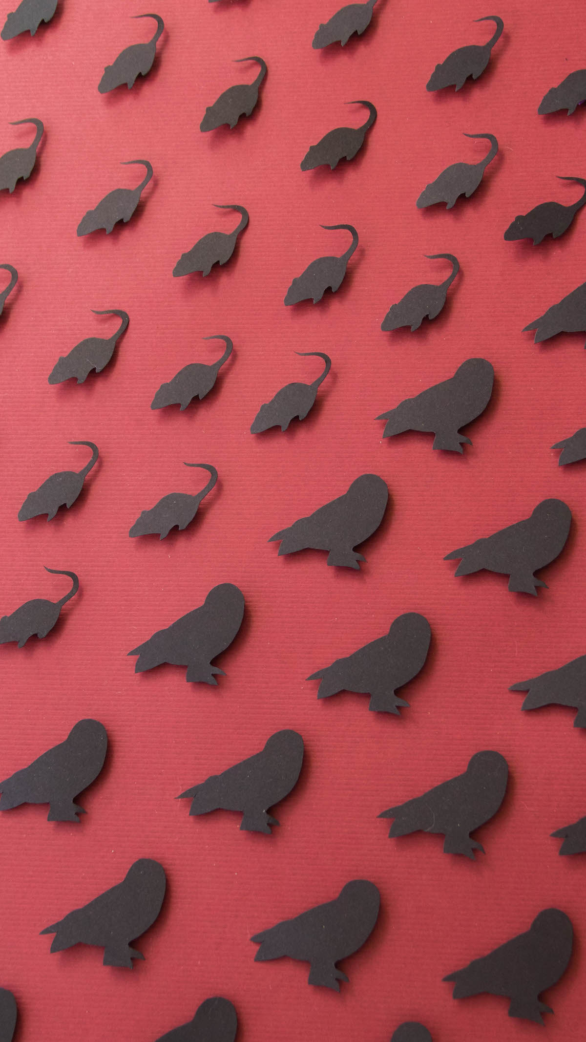 Nutcracker And The Four Realms Owl - HD Wallpaper 