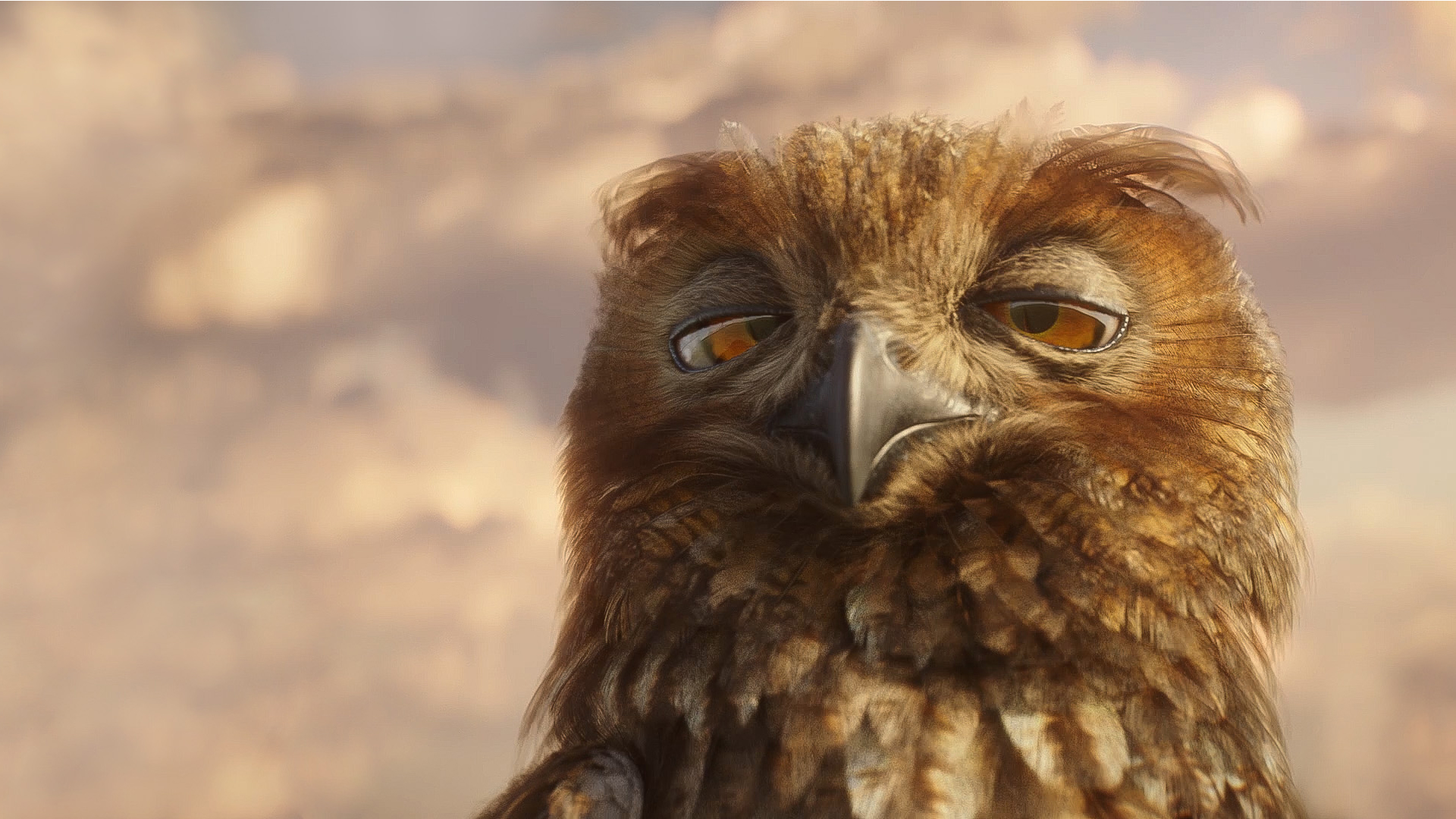 Stoned Bird - HD Wallpaper 