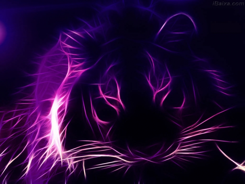 Purple Wallpaper Cool - HD Wallpaper 