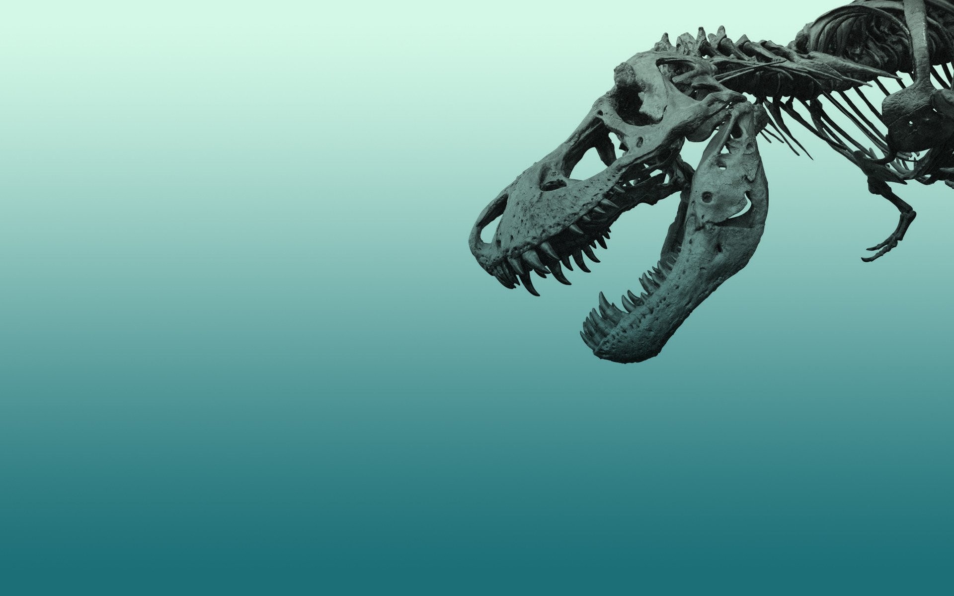 Dinosaur Desktop Backgrounds - 1920x1200 Wallpaper Dinosaur Desktop Backgrounds - 1920x1200 Wallpaper