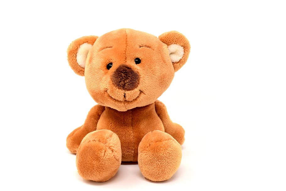 Teddy, Cute, Soft Toy, Animal, Teddy Bear, Plush, Stuffed - Geburtstagswünsche Whatsapp Bilder Kostenlos - HD Wallpaper 