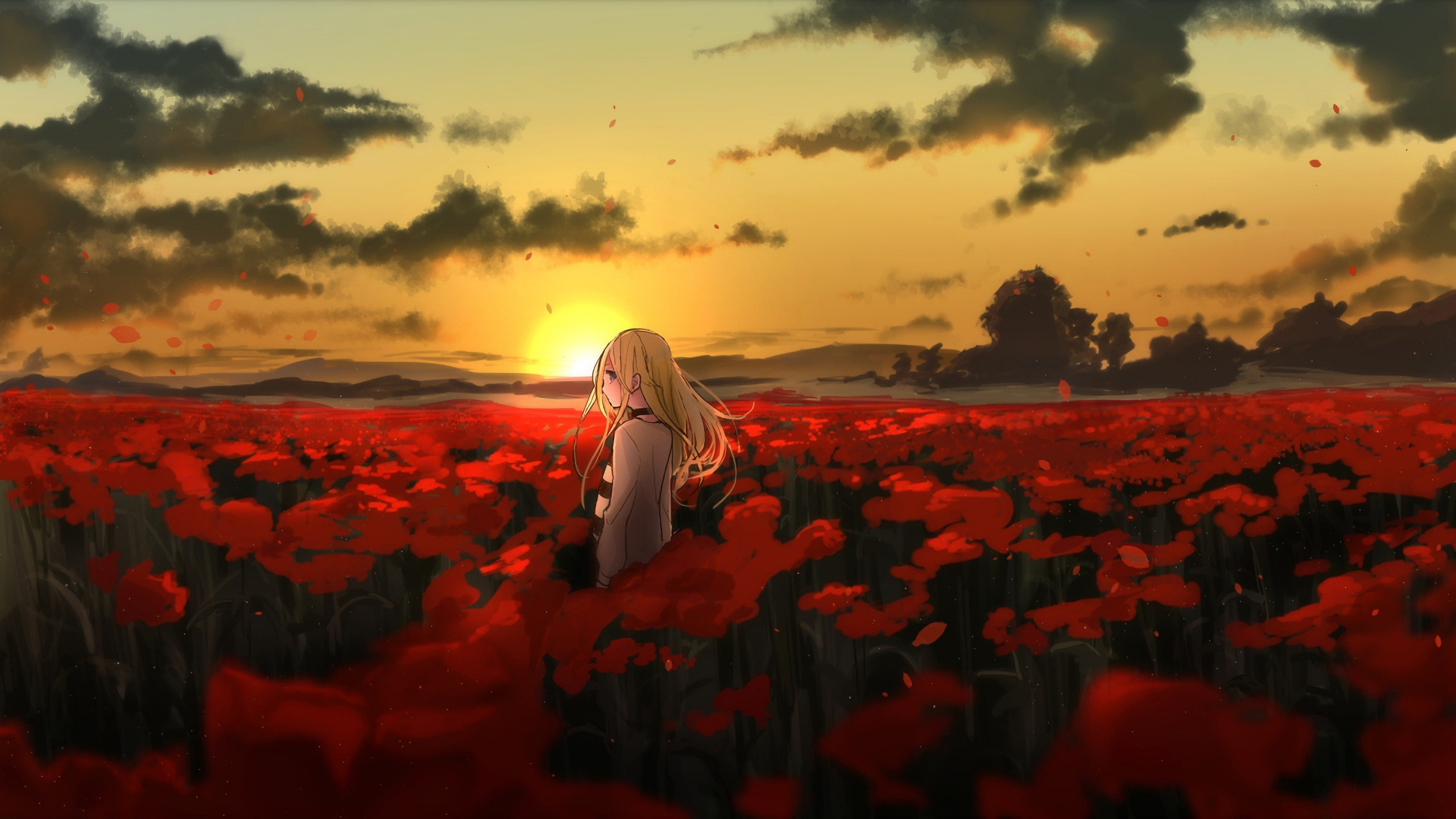 Wallpaper Outdoor, Flowers, Farm, Satsuriku No Tenshi, - Satsuriku No Tenshi Background - HD Wallpaper 