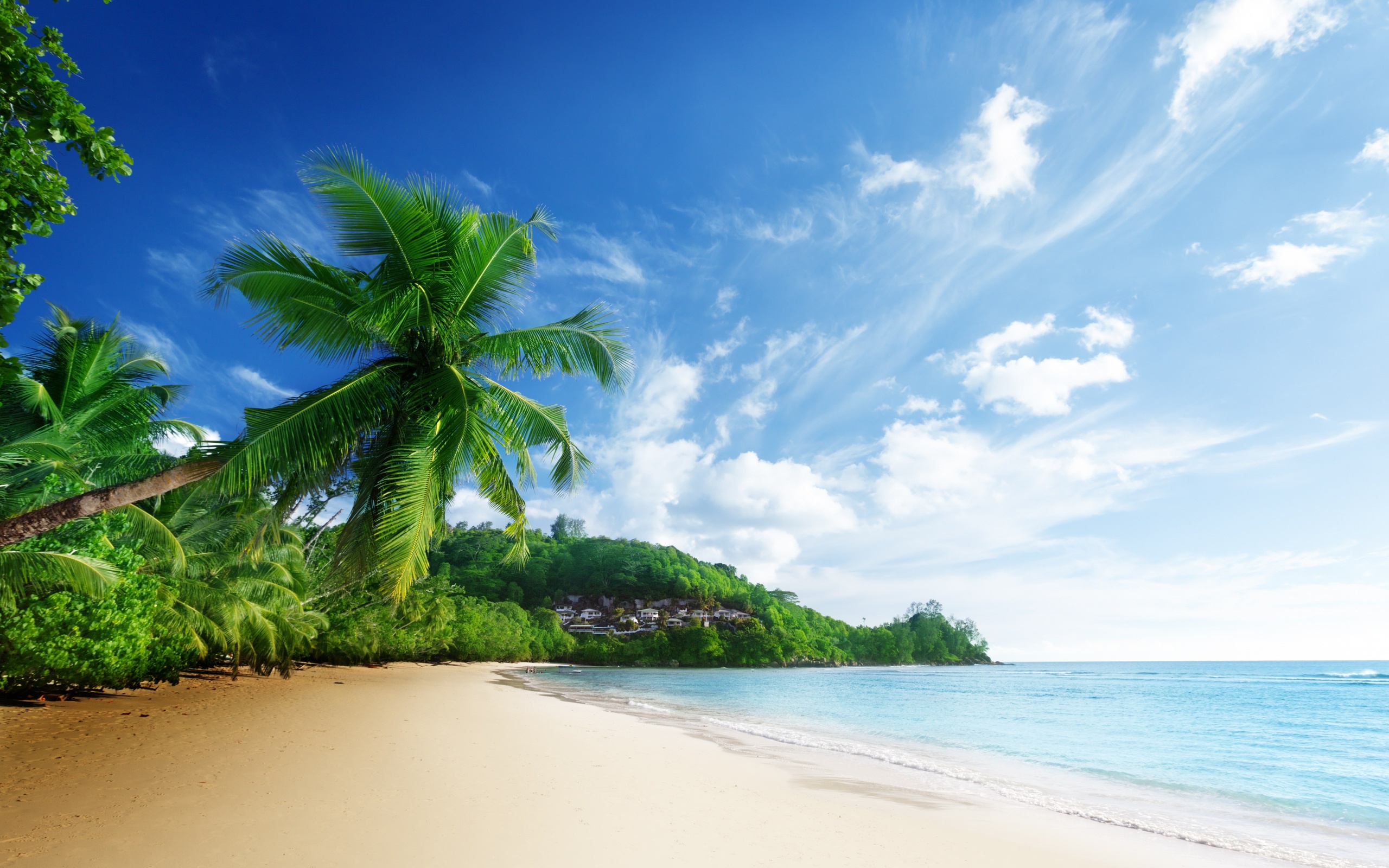 Beach Wallpaper - Sea Beach - 2560x1600 Wallpaper 