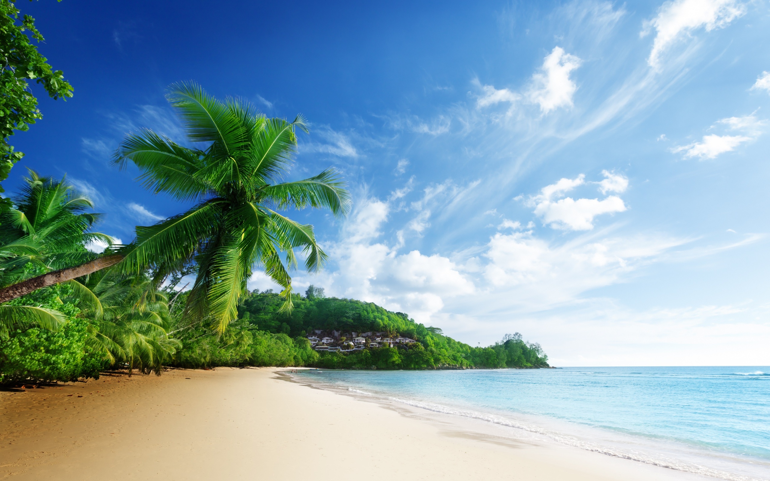 Beach Wallpaper - Sea Beach - HD Wallpaper 