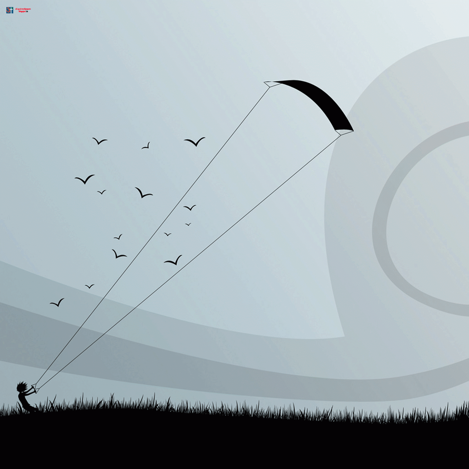 Sport Kite - HD Wallpaper 