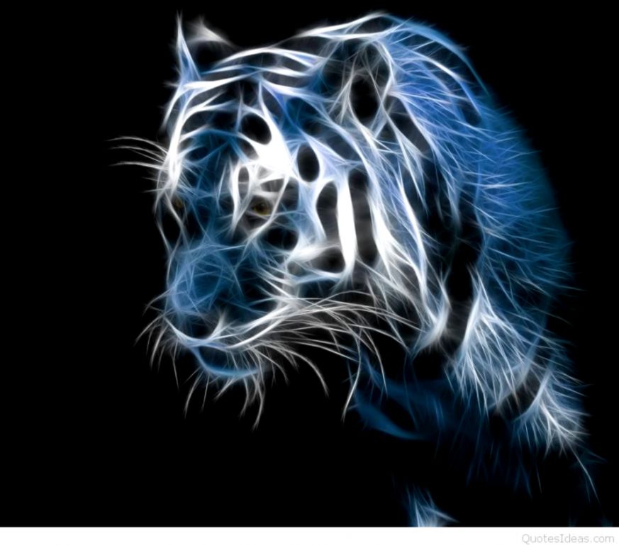 Free Wallpapers For Phone Android Group - Tiger Photo Hd Full Screen - HD Wallpaper 