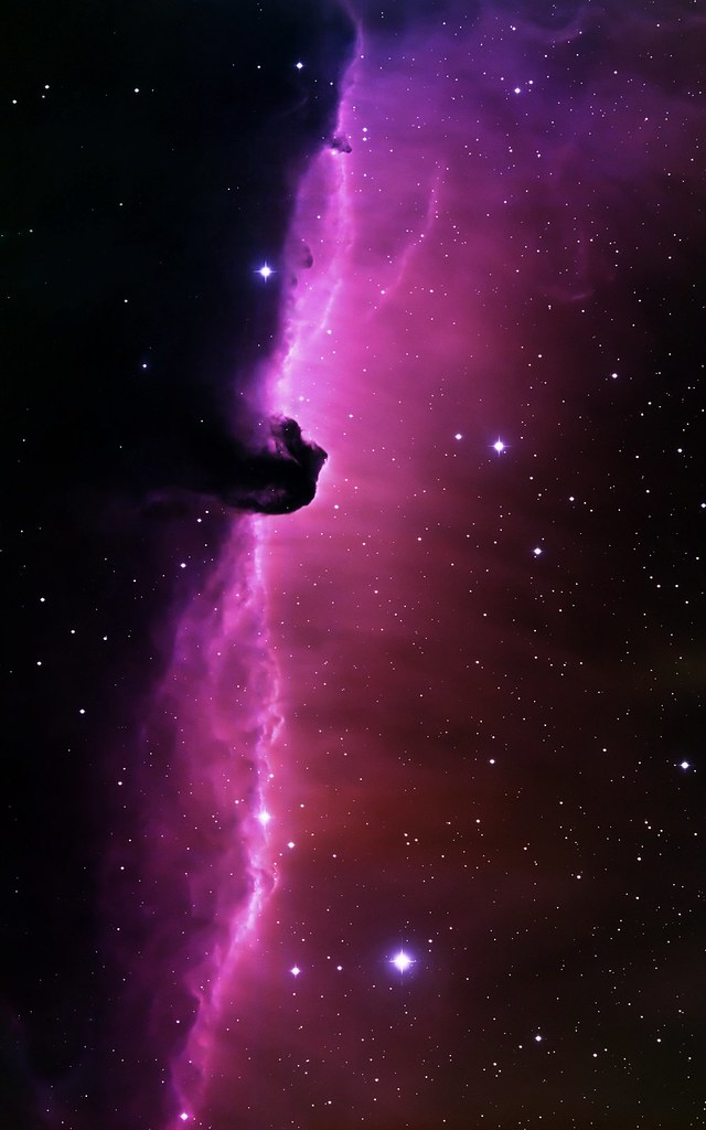 Horsehead Nebula - HD Wallpaper 