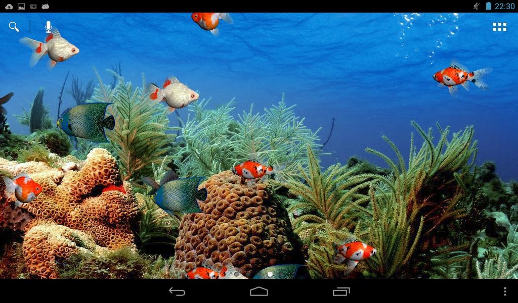 Ocean Coral Reef Background - HD Wallpaper 