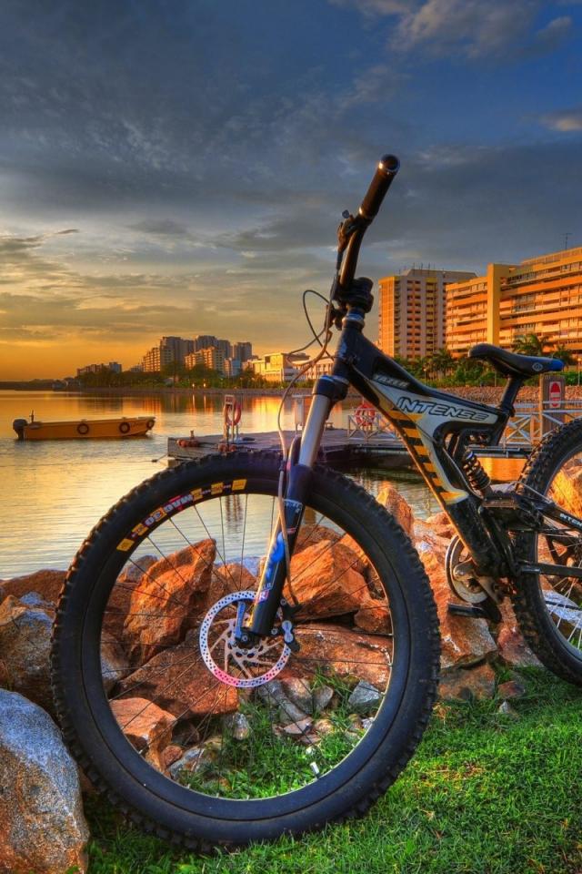 Cool Images For Mobile Wallpapers : 10 000 Best Mobile Wallpaper Photos