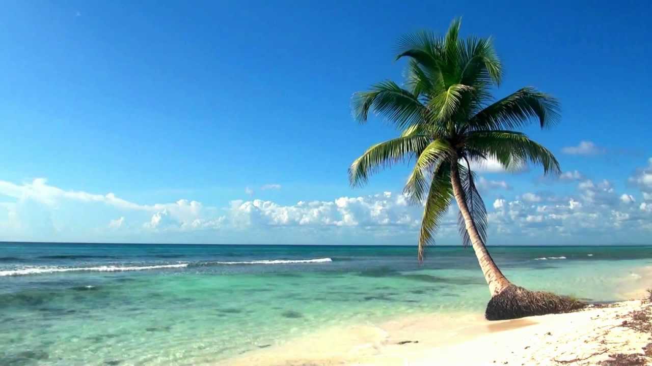 Tropical Island Beach - HD Wallpaper 
