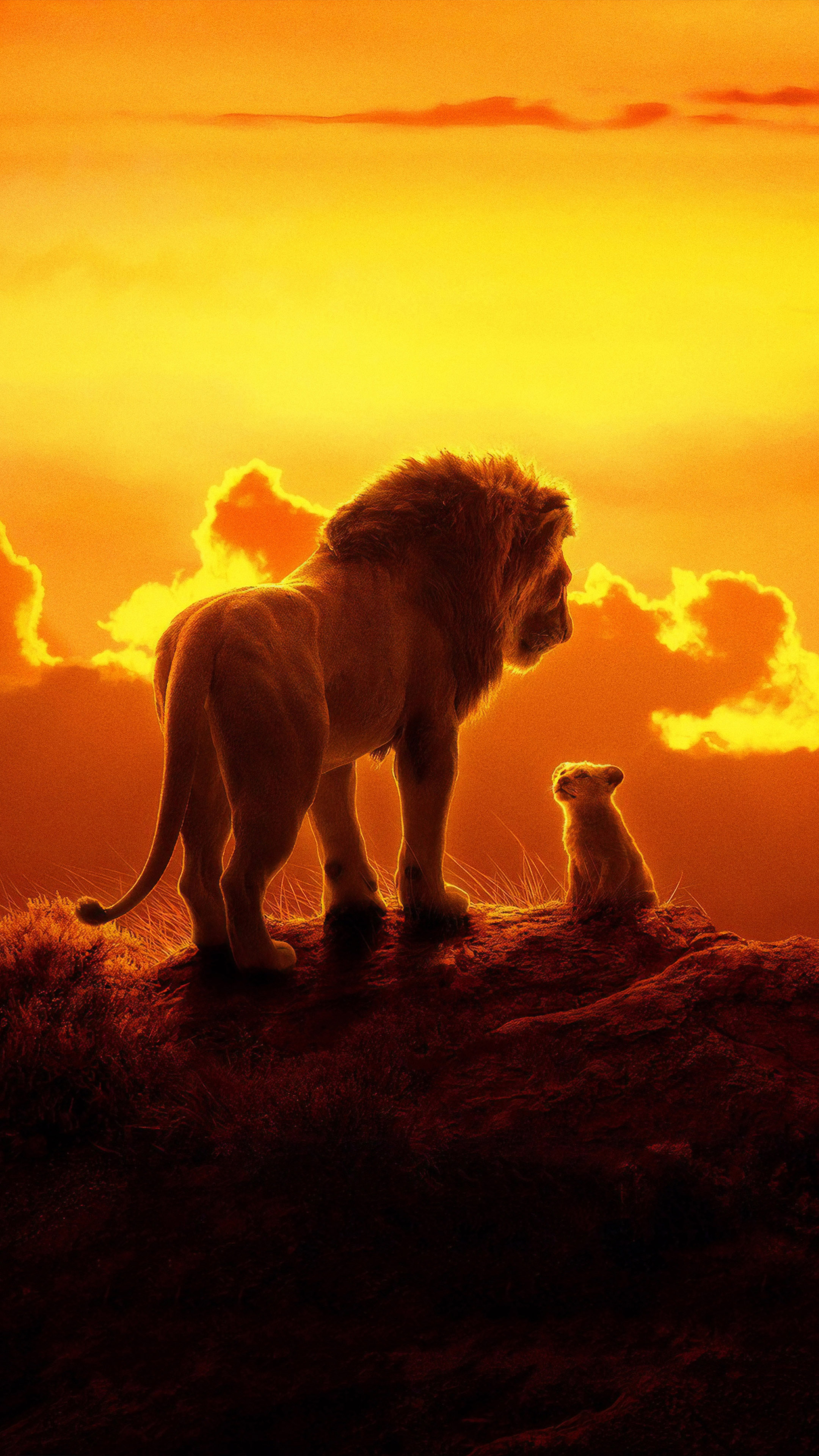 Lion King 2019 Wallpaper Mobile - HD Wallpaper 