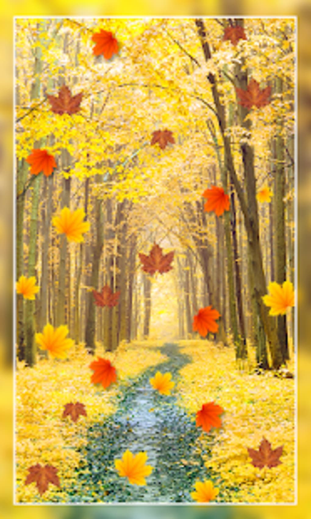 Nature Live Wallpaper - Sunflower - HD Wallpaper 