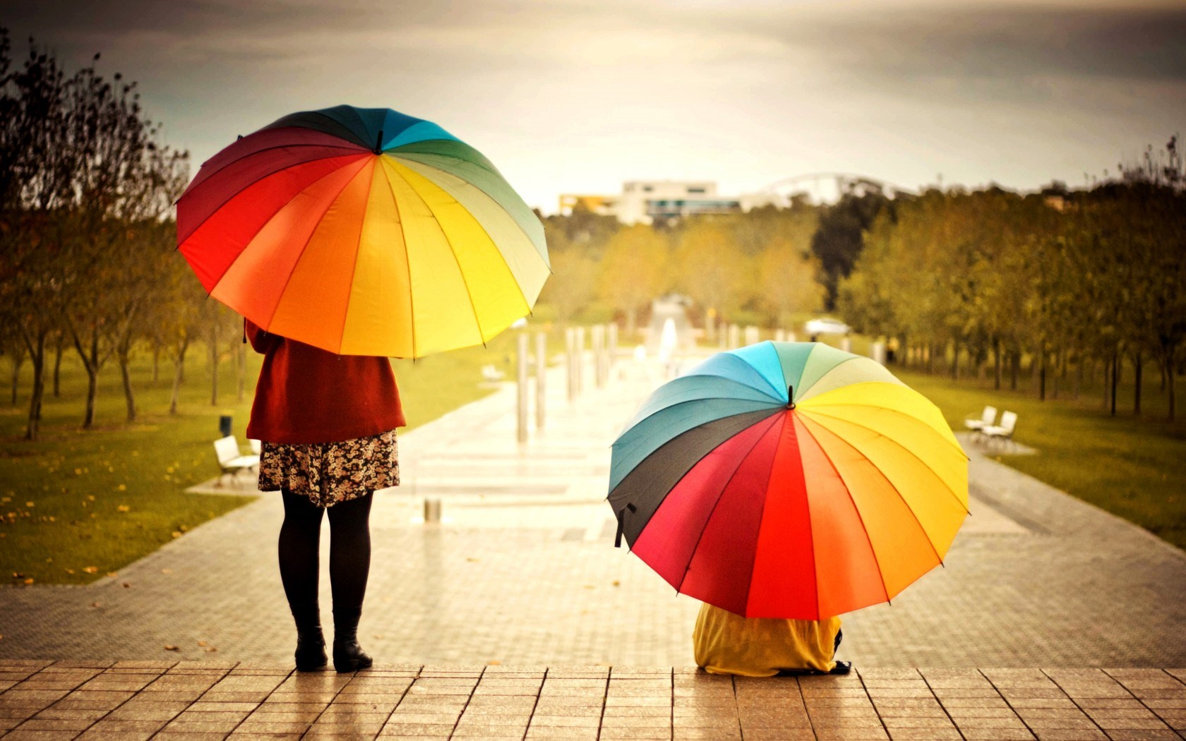Rainbow Umbrella - HD Wallpaper 