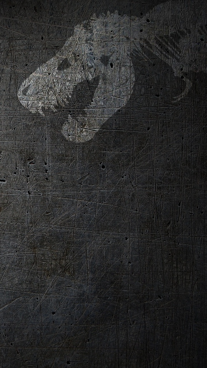 A New Mobile Wallpaper With Roger - Photography Background Black Photography Props Food - HD Wallpaper 