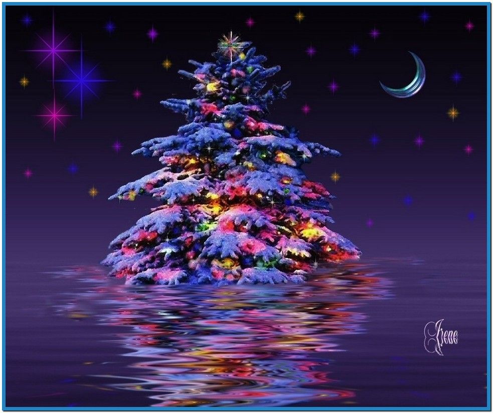 Beautiful Christmas Tree Background - HD Wallpaper 
