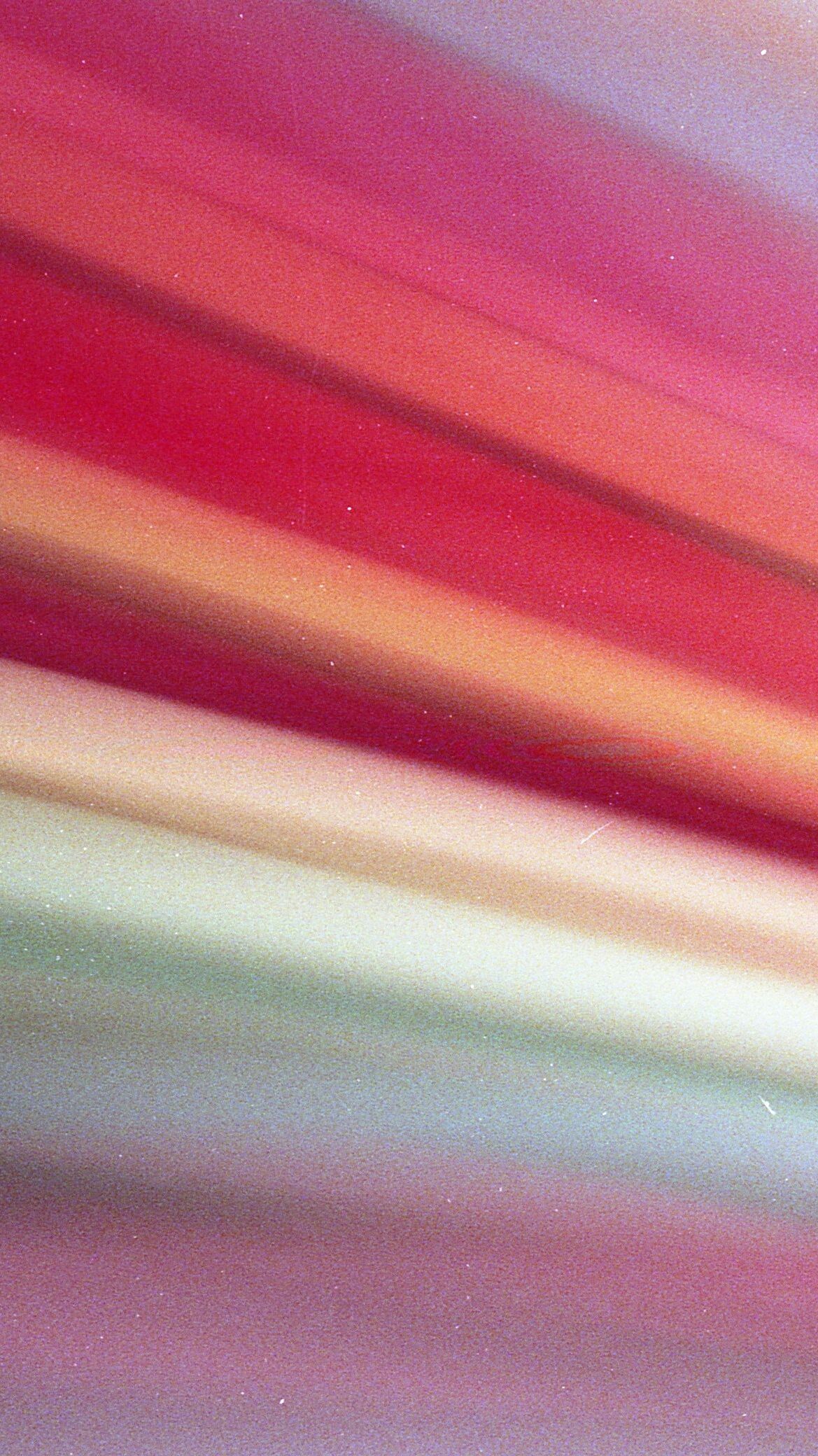 Lilac - HD Wallpaper 