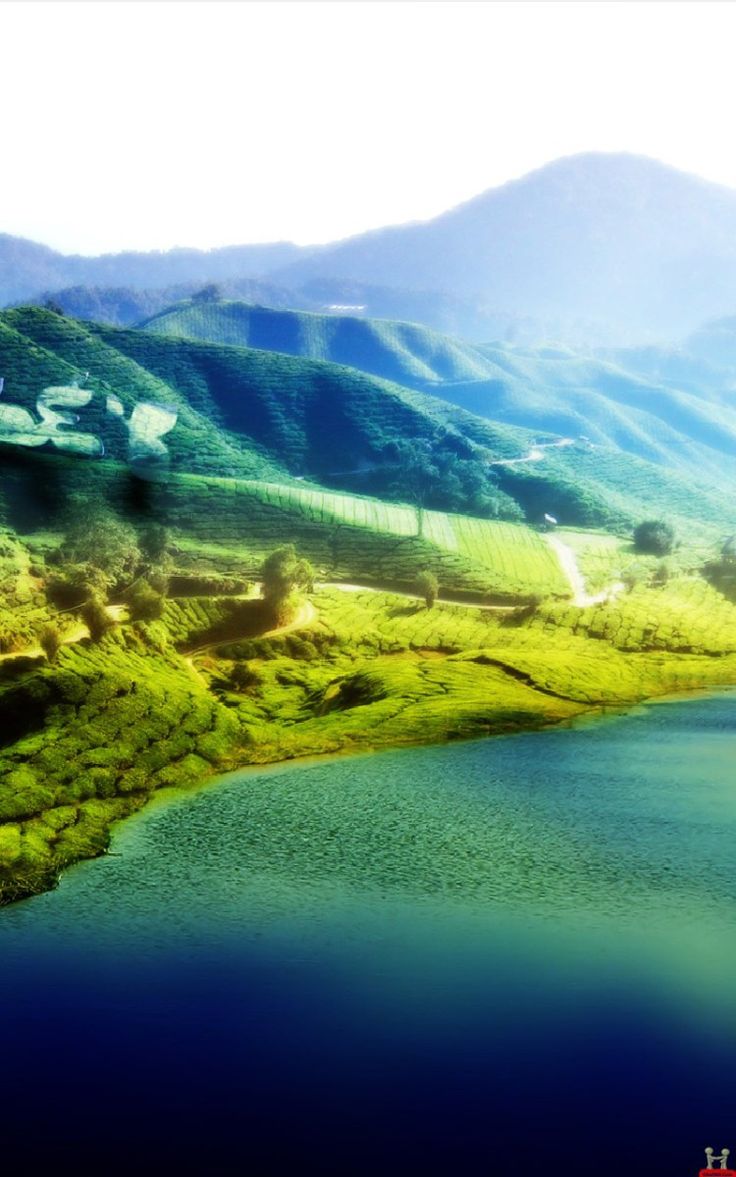 Samsung Animated Wallpaper - Samsung Galaxy Wallpaper Animation - 736x1177 Wallpaper Samsung Animated Wallpaper - Samsung Galaxy Wallpaper Animation - 736x1177 Wallpaper