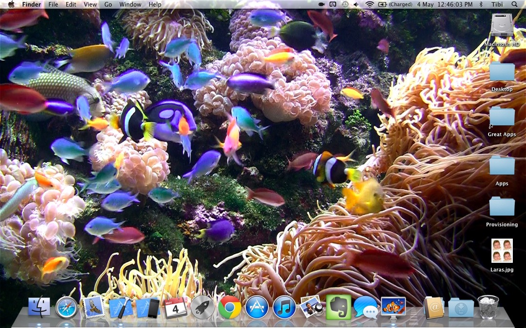 Live Wallpapers Aquarium For Windows - HD Wallpaper 